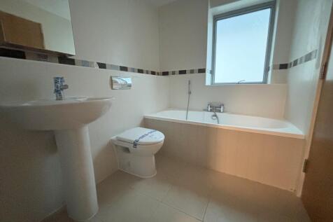 IMG 8779 T202511181148.jpg