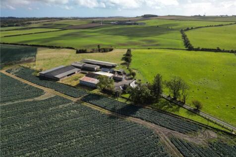 Lathones Farm