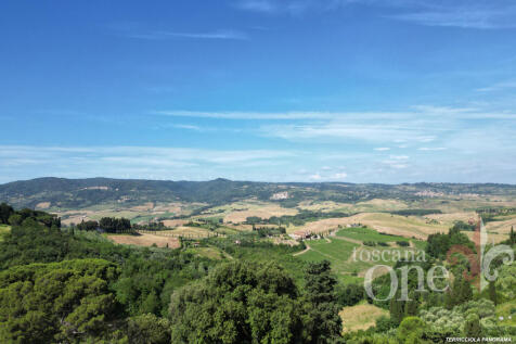 panorama -1.jpg