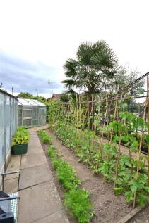 veg patch.JPG