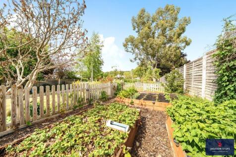 Vegetable Garden