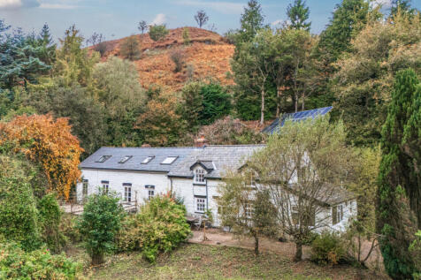 1362744-DJI_20251...