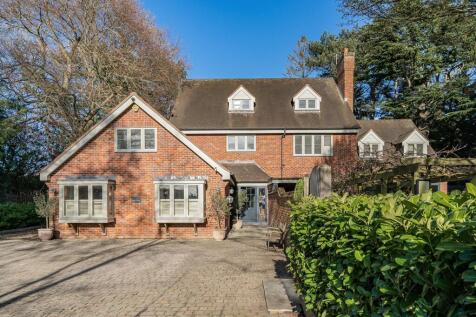Property Image 41