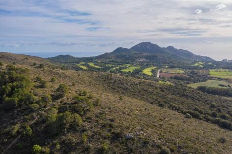 WhatsApp Image 2025-