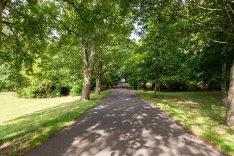 Hove Park late summer-2.jpg