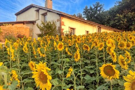 A rustic house is surrounded by a vibrant field of