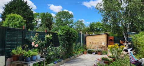 garden