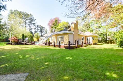 Swaynes New-19.jpg
