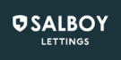 Salboy International Limited logo