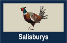 Salisburys, Tavistock